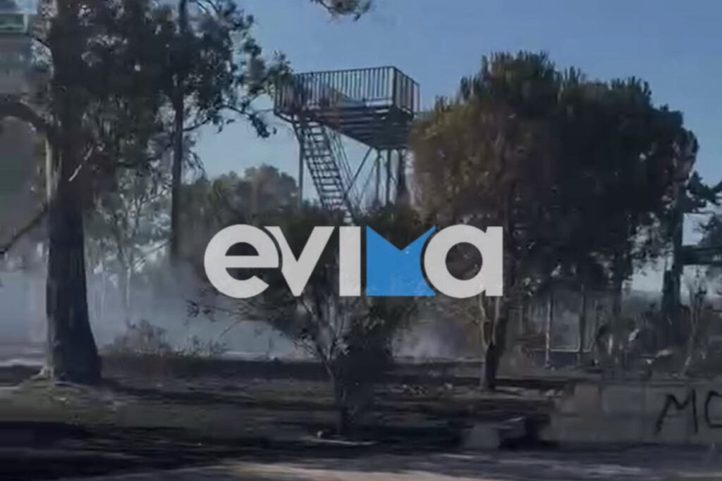 Αλιβέρι Εύβοιας: Σύλληψη ενός υπόπτου για τη μεγάλη φωτιά – Κάηκε πολυχώρος διασκέδασης (Εικόνες, Βίντεο)