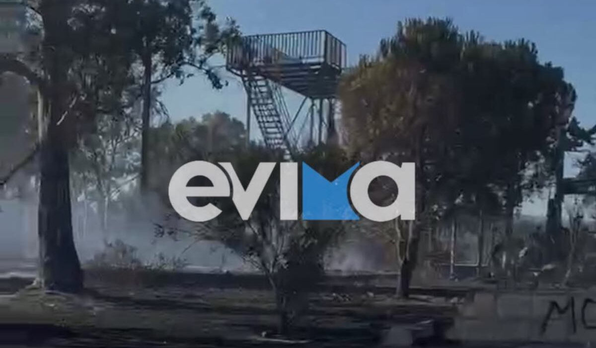 Αλιβέρι Εύβοιας: Σύλληψη ενός υπόπτου για τη μεγάλη φωτιά – Κάηκε πολυχώρος διασκέδασης (Εικόνες, Βίντεο)