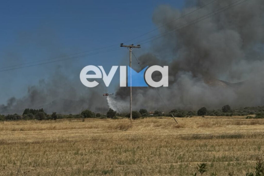 Αλιβέρι Εύβοιας: Στο παρά ένα σώθηκαν σπίτια από τη φωτιά – Διαδοχικά τα μηνύματα για εκκενώσεις (Εικόνες, Βίντεο)