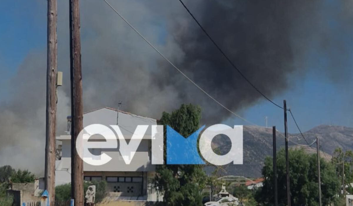 Εύβοια: Παίρνει διαστάσεις η φωτιά στο Αλιβέρι – Μήνυμα για εκκένωση