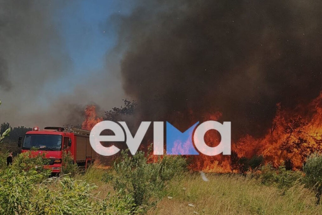 Φωτιά στο Αλιβέρι Εύβοια