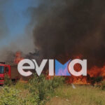 Φωτιά στο Αλιβέρι Εύβοια