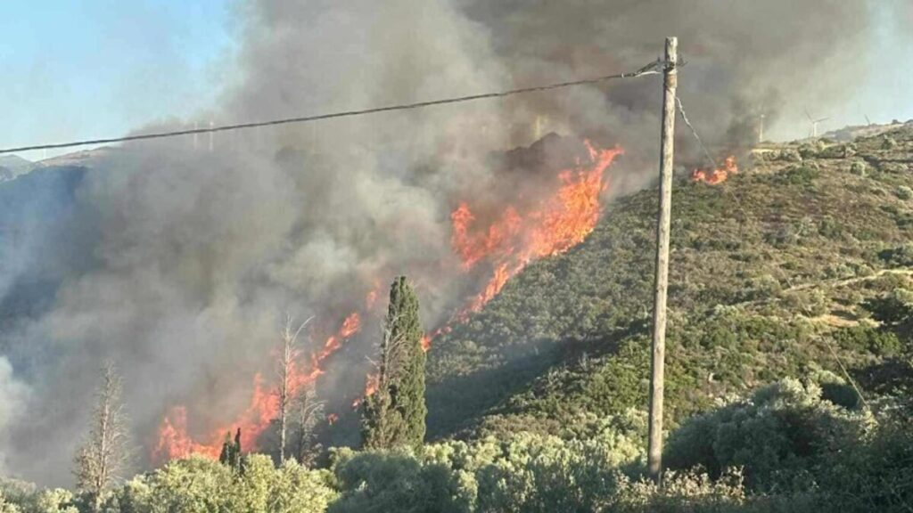 Φωτιά Εύβοια
