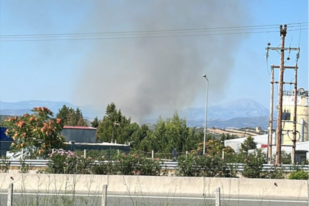 Φωτιά Οινόφυτα Δήλεσι
