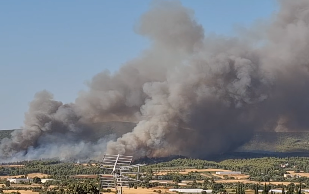 Μεγάλη φωτιά τώρα στον Ωρωπό: Σηκώθηκαν 19 εναέρια μέσα – Ήχησε το 112 για εκκενώσεις