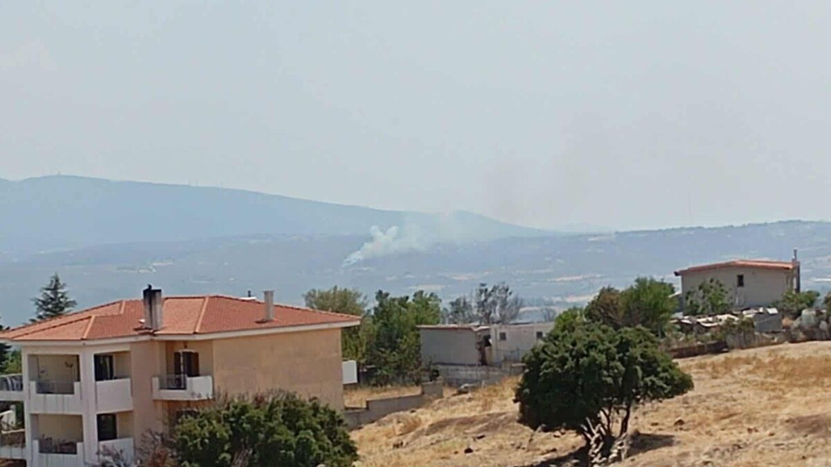 Φωτιά στη Σταμάτα Αττικής – Οριοθετήθηκε άμεσα