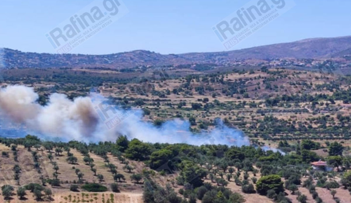 Μεγάλη φωτιά τώρα στη Ραφήνα