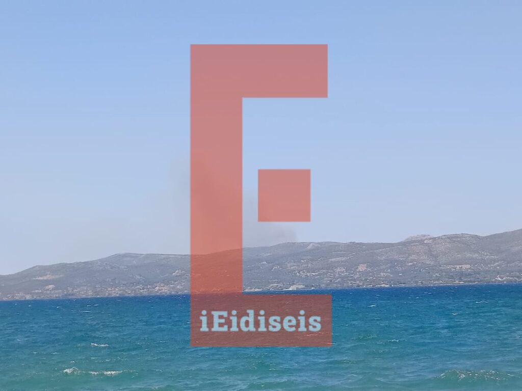 Φωτιά Πυρκαγιά Δάσος Εύβοια
