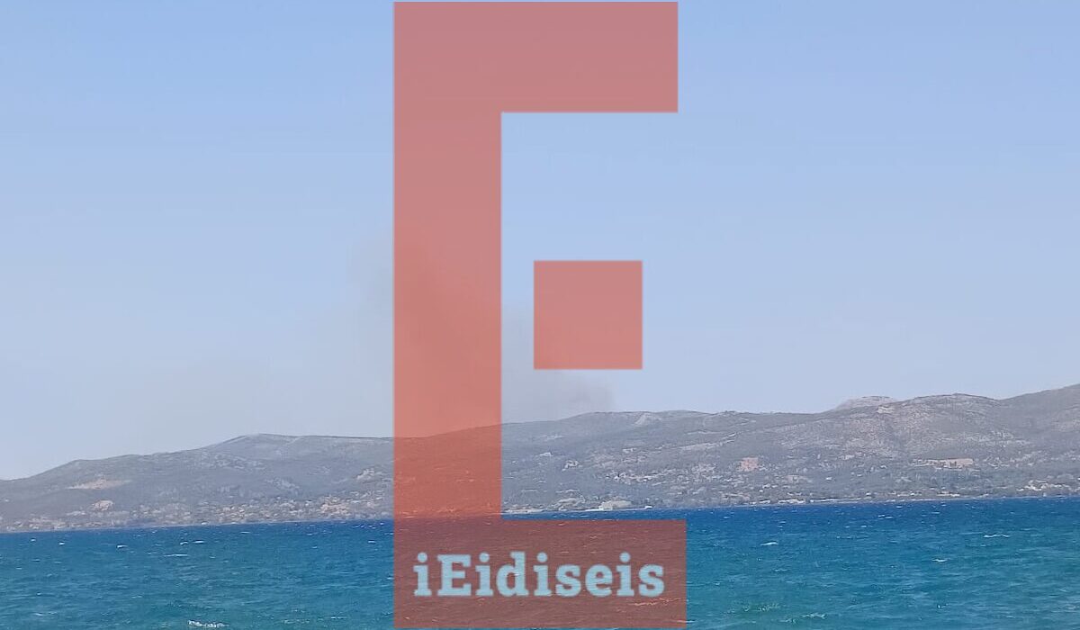 Φωτιά Πυρκαγιά Δάσος Εύβοια