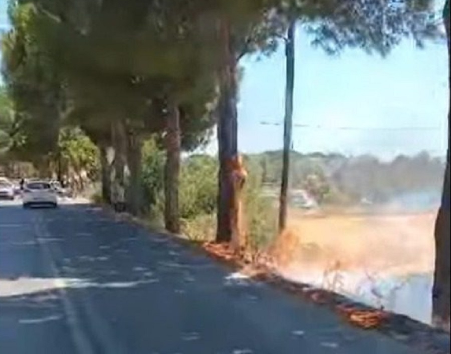 φωτια λεσβοσ