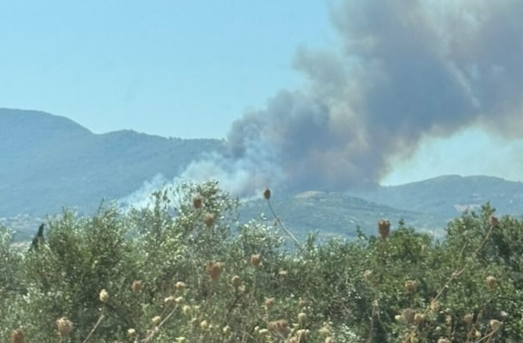 Φωτιά Πυρκαγιά Μεσσηνία