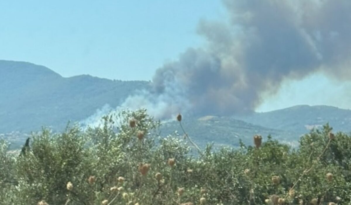 Φωτιά Πυρκαγιά Μεσσηνία