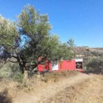 Φωτιά Πυρκαγιά Σητεία Κρήτη