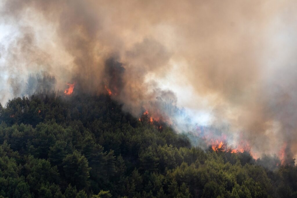 Φωτιά στην Ηλεία: Ολονύκτια μάχη στο Γεράκι Αμαλιάδας – Επιχειρούν πάνω από 100 πυροσβέστες