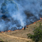 Φωτιά από καταβάτες ανέμους – Τι λέει ο Γιώργος Τσατραφύλλιας