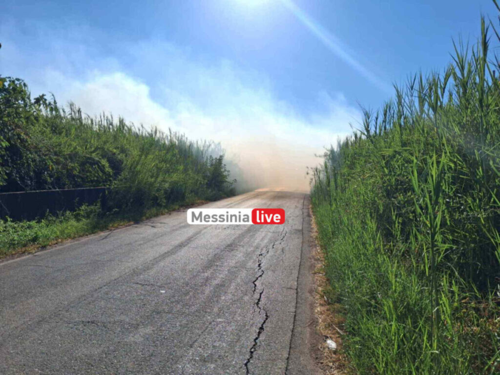 Φωτιά στη βόρεια πύλη του Αεροδρομίου Καλαμάτας – Καίγονται καλαμιές