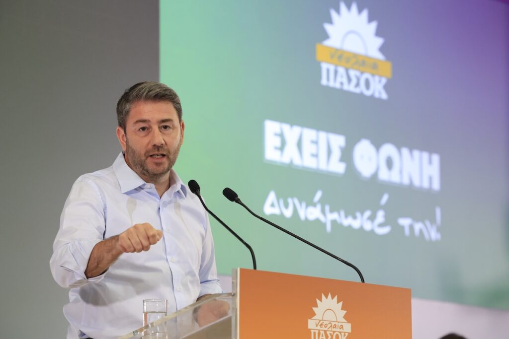 Νίκος Ανδρουλάκης