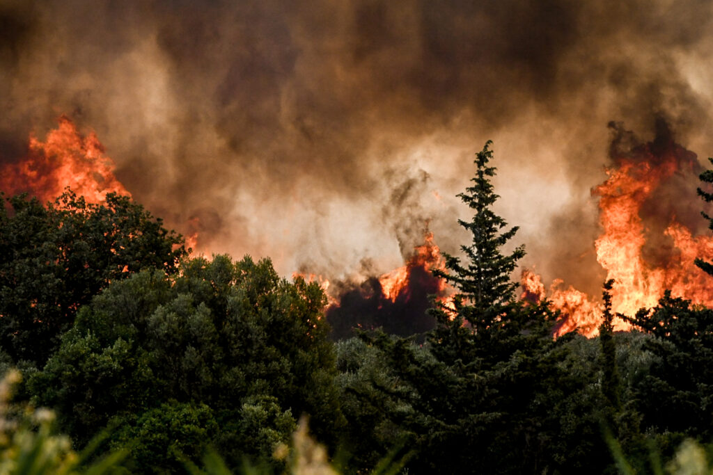 Νέα φωτιά στην Πάτρα – Στην περιοχή Συχαινών