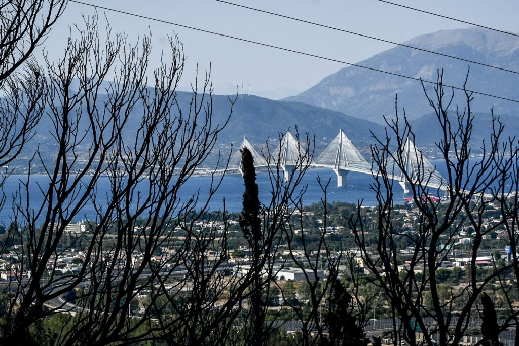 Πυρκαγιές στην Αχαϊα: Οδοιπορικό στα καμμένα της Πάτρας – Μεγάλες καταστροφές