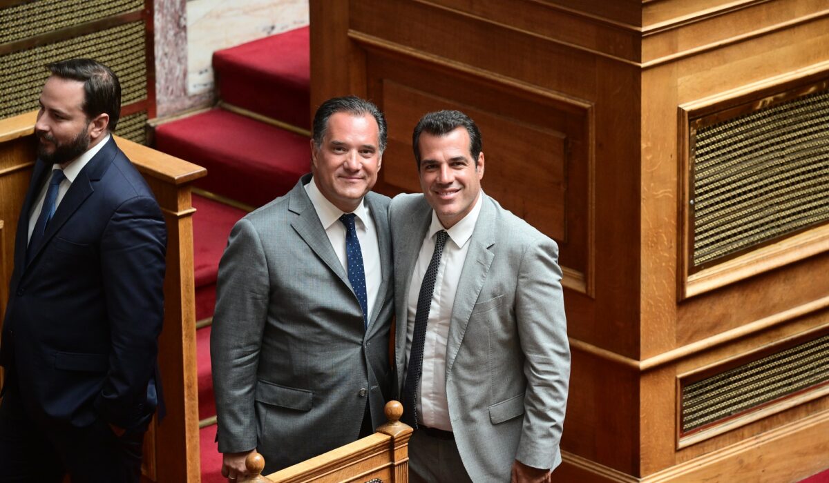 Άδωνις Πλεύρης: Κατηφόρα