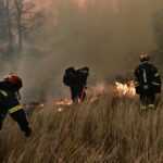 Μέθοδος «αντιπύρ» στη Ζάκυνθο: Φωτιά που σταματά τη φωτιά - Πώς λειτουργεί, πότε εφαρμόζεται