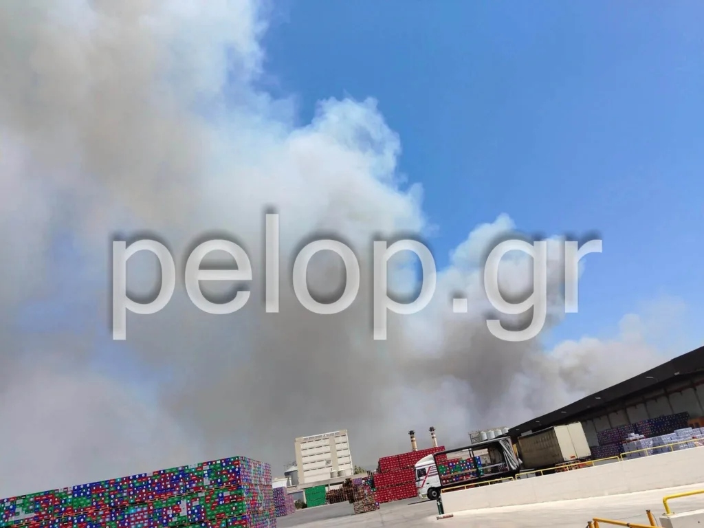 Πού έχει φωτιά τώρα - LIVE ενημέρωση 4 Πού έχει φωτιά τώρα - LIVE ενημέρωση