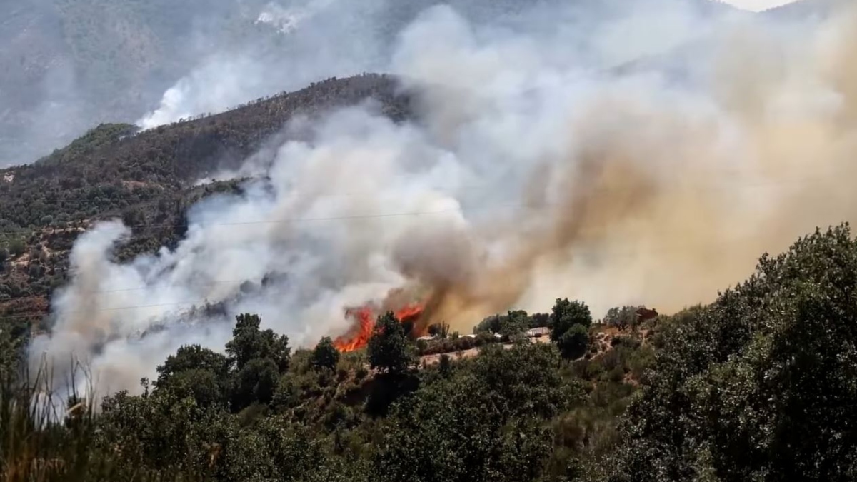 Ανεξέλεγκτες οι φωτιές στην Αλβανία: Στις φλόγες μειονοτικά χωριά - Απειλούνται εγκαταστάσεις υγραερίου