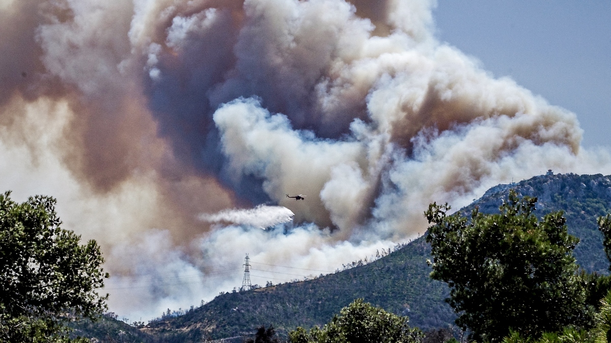 Θεσσαλονίκη: Έπιασαν 55χρονο για εμπρησμό στην Πάρνηθα το 2005