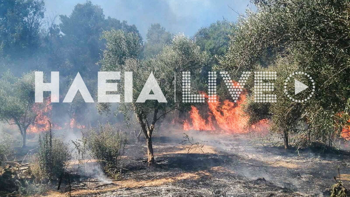 Φωτιά τώρα στην Ηλεία - Μάχη με 5 εναέρια μέσα