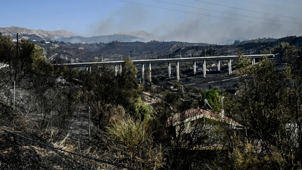 Φωτιές: Η Ελλάδα στις στάχτες - Οι χάρτες της καταστροφής σε Χίο, Ζάκυνθο, Πρέβεζα και Αχαΐα