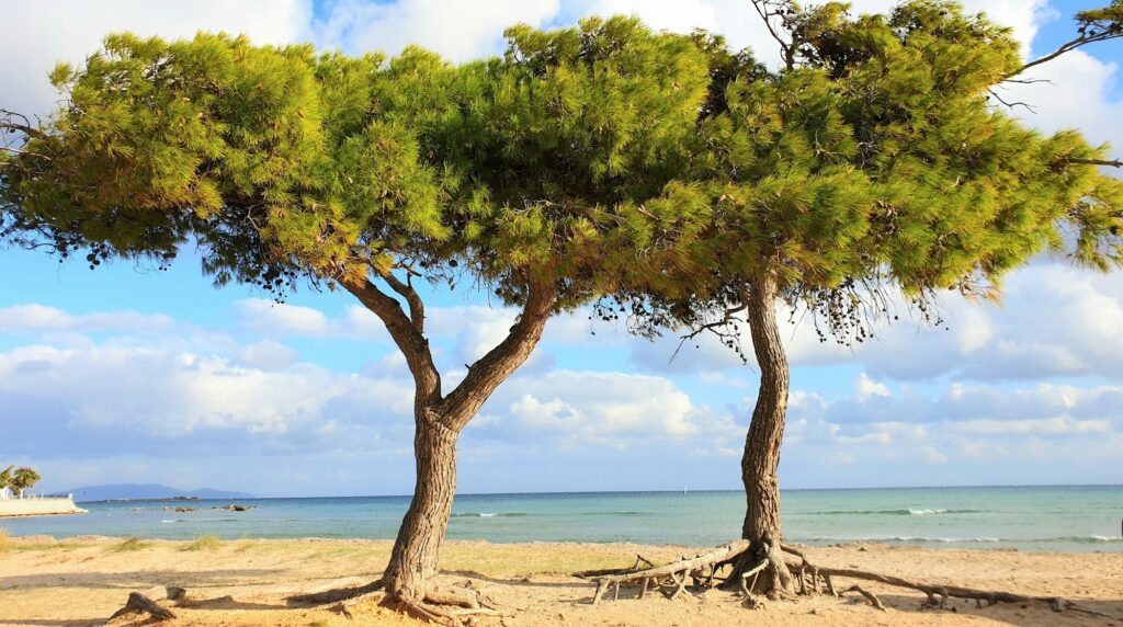 6 παραλίες κοντά στην Αθήνα για τον Δεκαπενταύγουστο