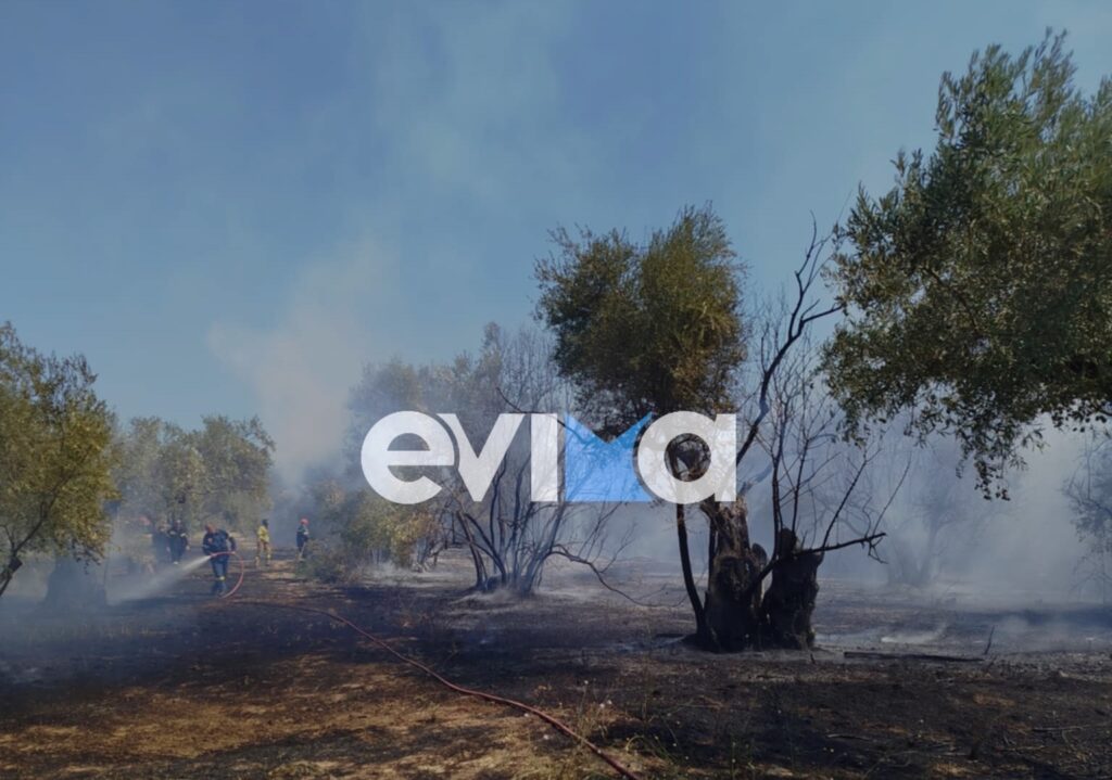 Εύβοια: Ένας τραυματίας από φωτιά στα Κανατάδικα Ιστιαίας Αιδηψού