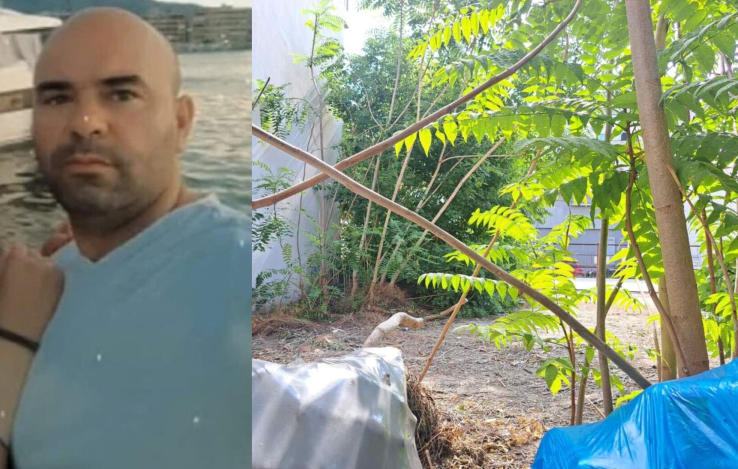 Δολοφονία στον Βόλο