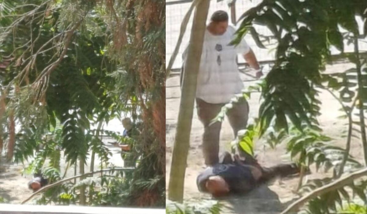 Δείτε φωτογραφίες και βίντεο από τη στιγμή της σύλληψης του 40χρονου δολοφόνου στον Βόλο