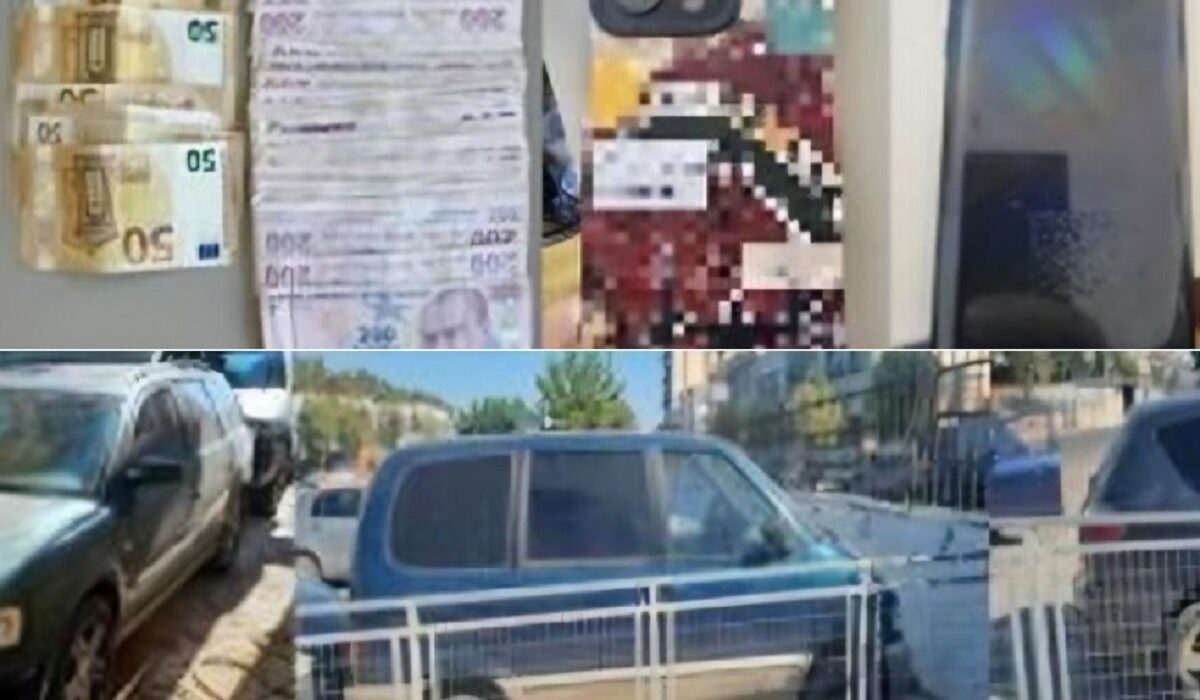 ΔΙΑΚΙΝΗΤΕΣ, ΜΕΤΑΝΑΣΤΕΣ