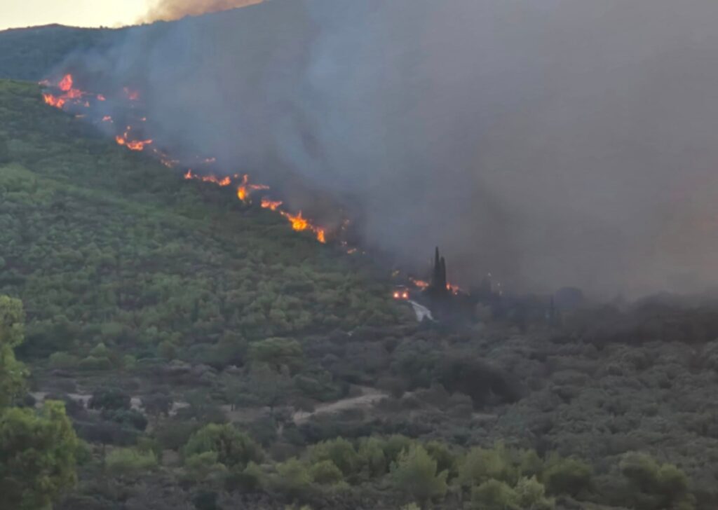Φωτιά σε δάσος στη Ζάκυνθο: Σηκώθηκαν εναέρια – Ήχησε το 112 για εκκένωση