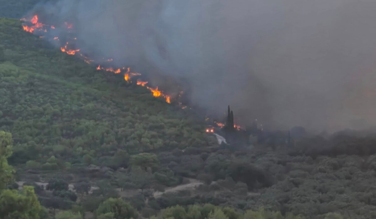 Φωτιά σε δάσος στη Ζάκυνθο: Σηκώθηκαν εναέρια – Ήχησε το 112 για εκκένωση