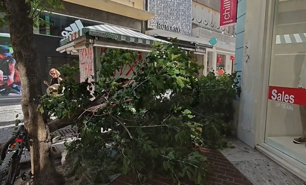 Ισχυροί άνεμοι έριξαν δέντρο στην Ερμού – Από θαύμα δεν υπήρξαν τραυματισμοί