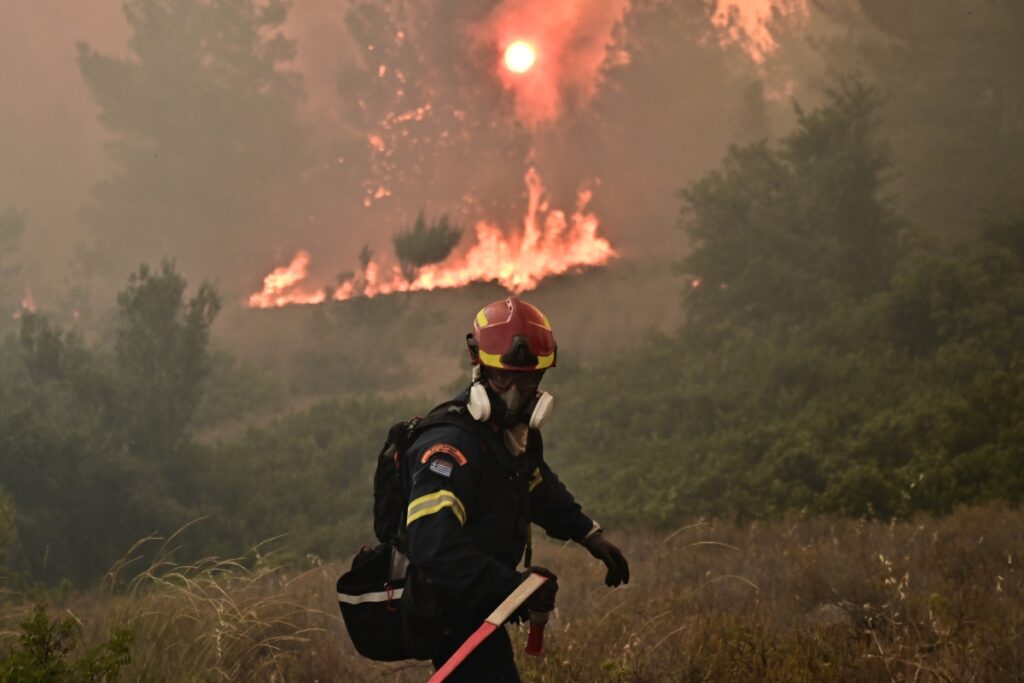 Ιωάννινα: Φωτιά σε πευκοδάσος στη Λάιστα Ζαγορίου
