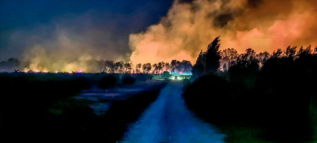 Συναγερμός στην Αιτωλοακαρνανία: Φωτιά σε δασική έκταση στα Παλιάμπελα