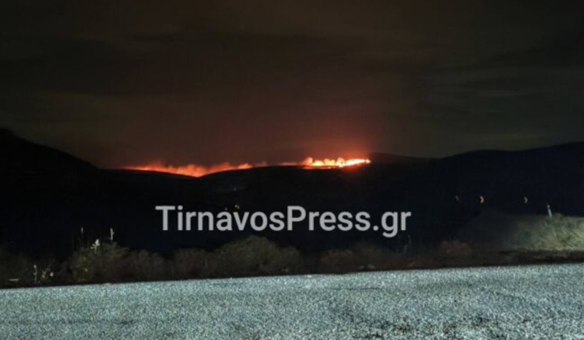 Νύχτα αγωνίας στον Τύρναβο για τη φωτιά στο Αμύγδαλο – Μεγάλο «αγκάθι» οι ισχυροί άνεμοι