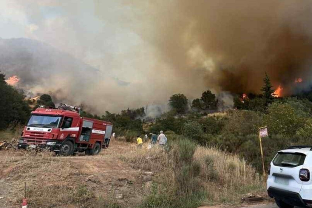 Εκτός ελέγχου η φωτιά στα Καλάβρυτα: Κτηνοτρόφοι απομακρύνουν τα ζώα τους – Ενισχύθηκαν οι δυνάμεις