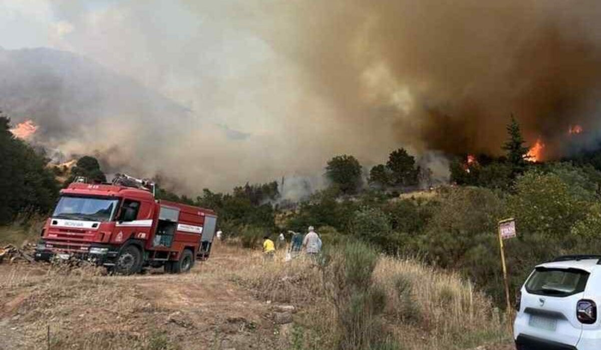 Εκτός ελέγχου η φωτιά στα Καλάβρυτα: Κτηνοτρόφοι απομακρύνουν τα ζώα τους – Ενισχύθηκαν οι δυνάμεις