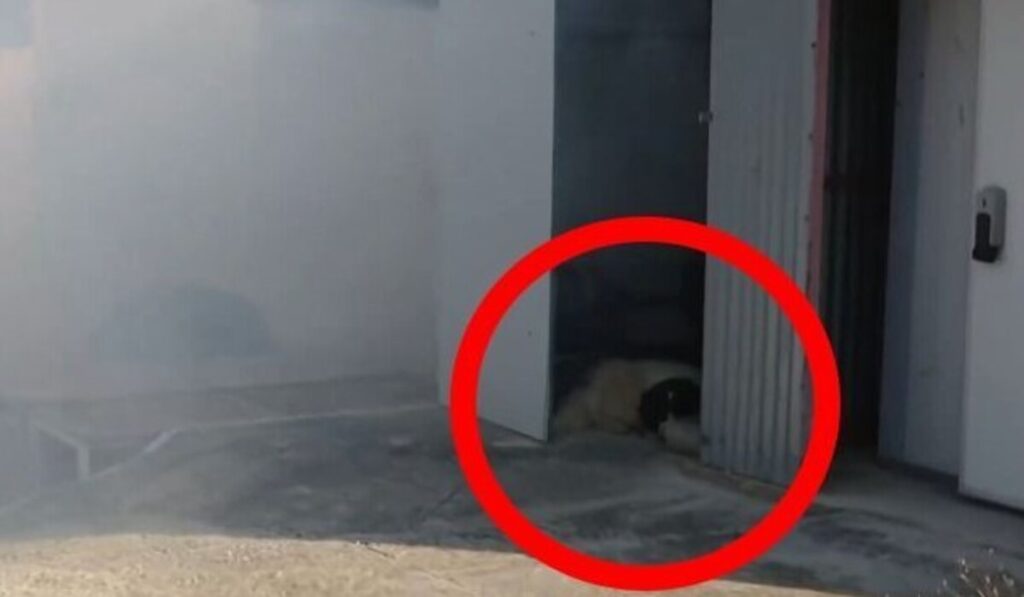 Φωτιά Κερατέα