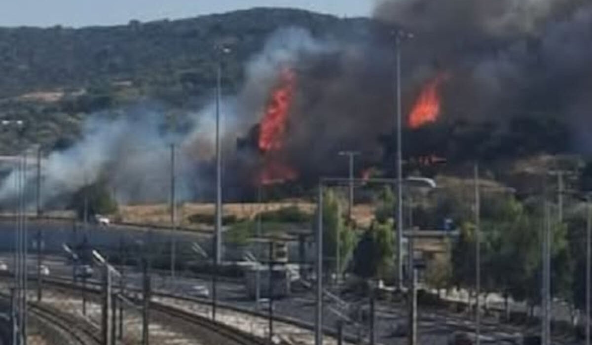 Φωτιά τώρα στην Παιανία – Δίπλα στην Αττική Οδό