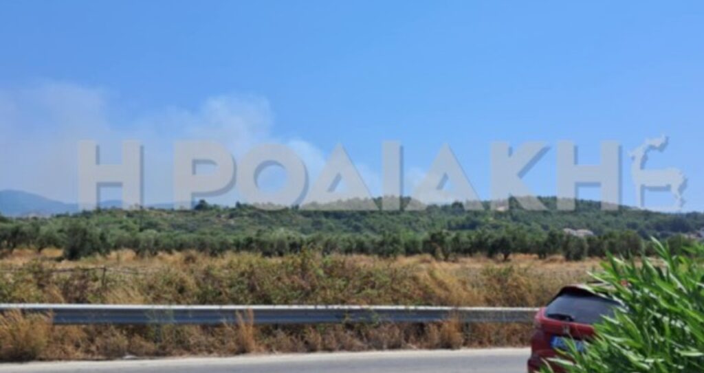 Φωτιά τώρα στη Ρόδο – Εντολή για εναέρια μέσα (βίντεο)