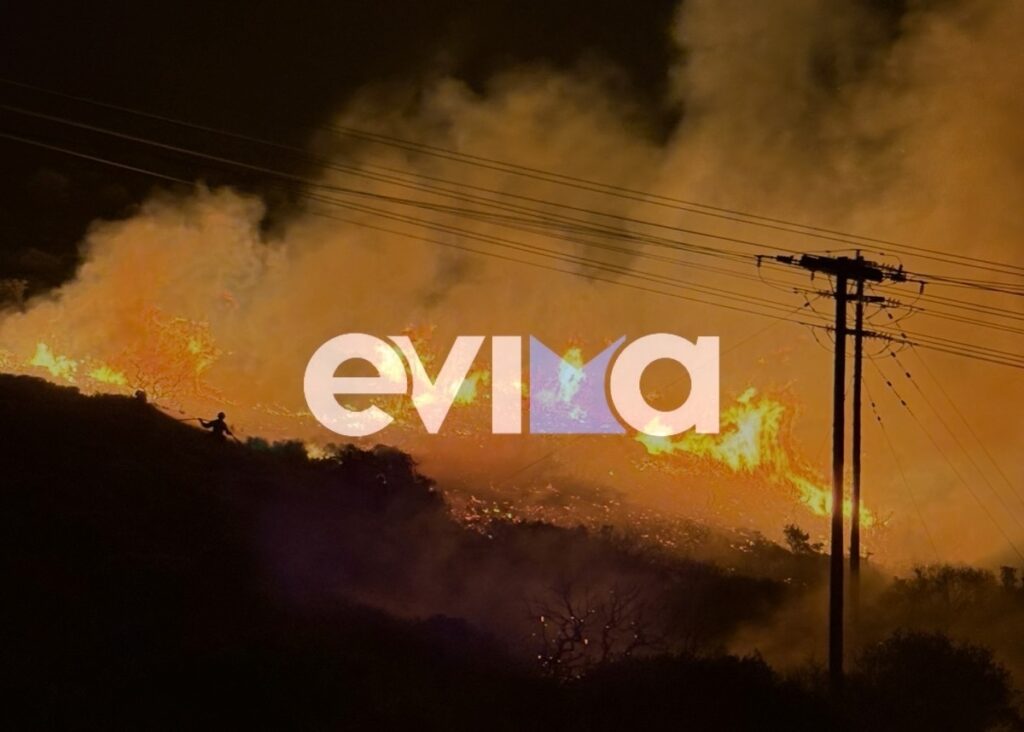 Φωτιά Πυρκαγιά Μεσοχώρια Εύβοια