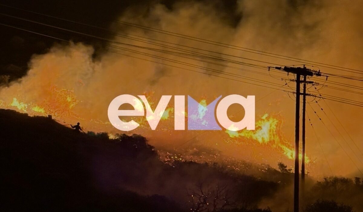 Φωτιά Πυρκαγιά Μεσοχώρια Εύβοια