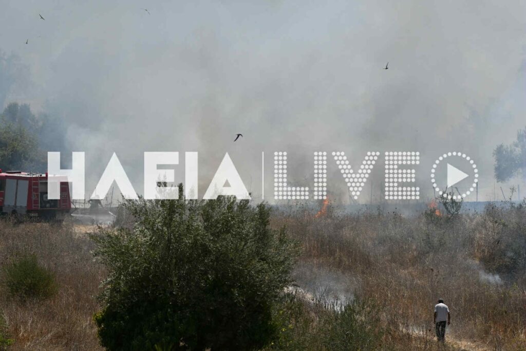 Φωτιά Πυρκαγιά Ηλεία