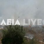 Φωτιά Πυρκαγιά Ηλεία